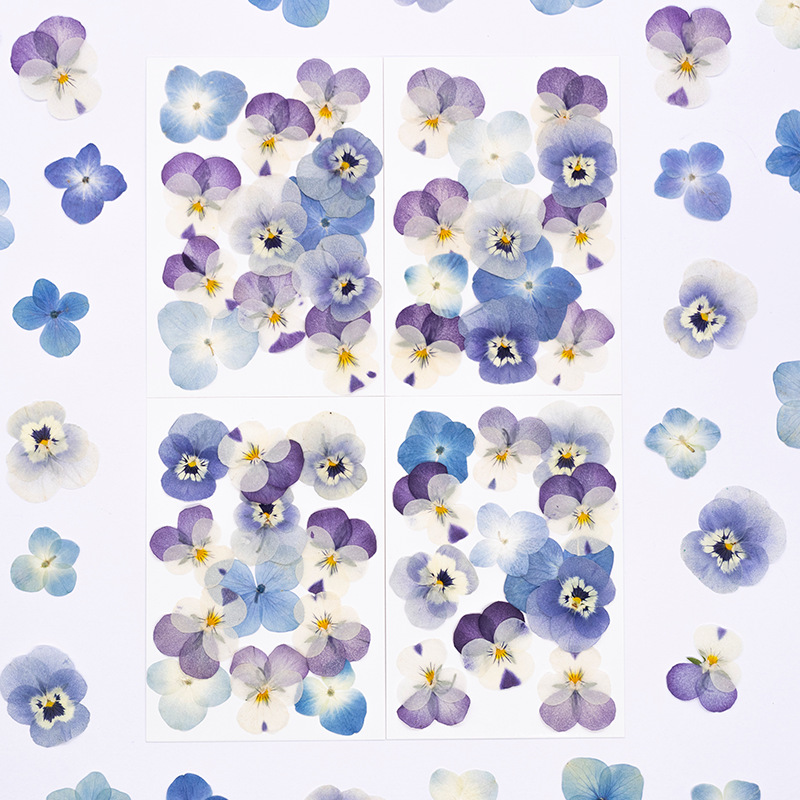 Candle For Supplies - 12pcs,Real Viola Cornuta Pressed Dried Flowers