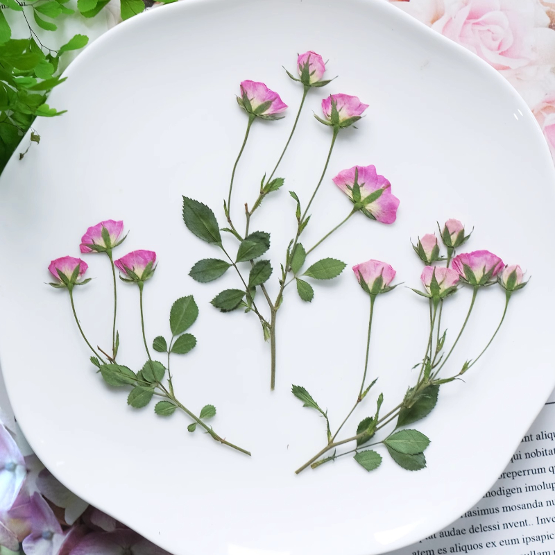 12pcs,Mini Pink Rose Pressed F - Candle For Supplies ulasan dan harga